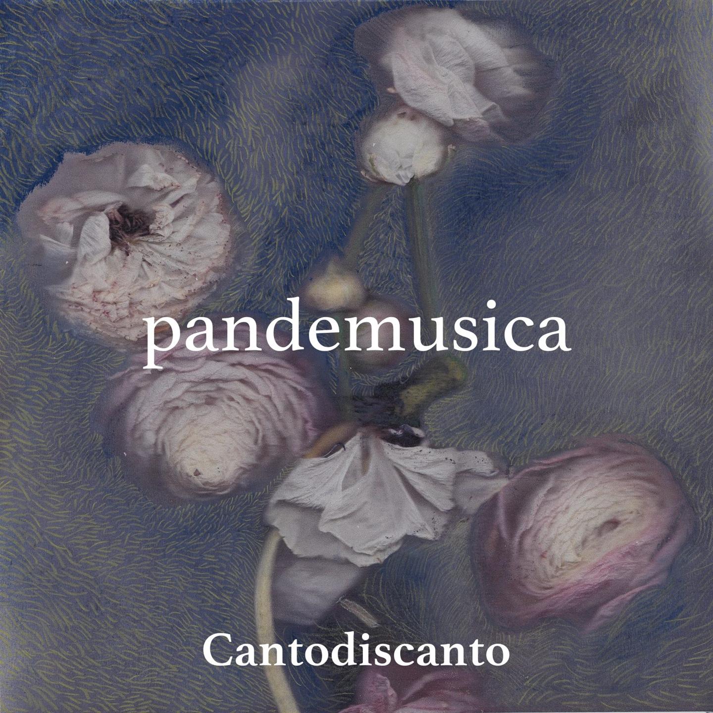 PANDEMUSICA