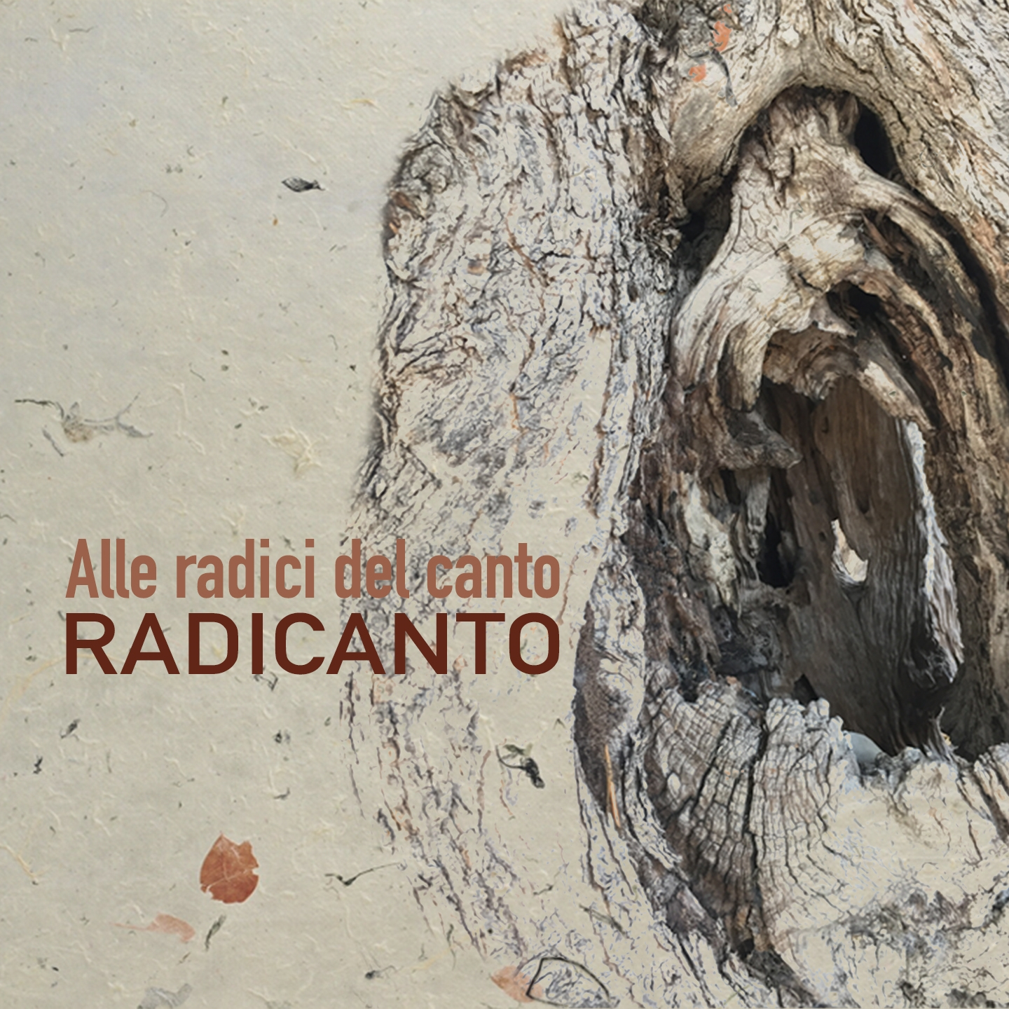 ALLE RACIDI DEL CANTO