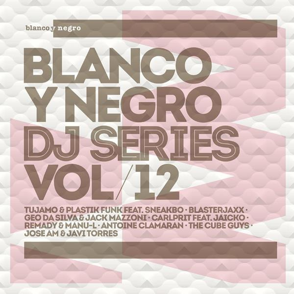 DJ SERIES VOL. 12