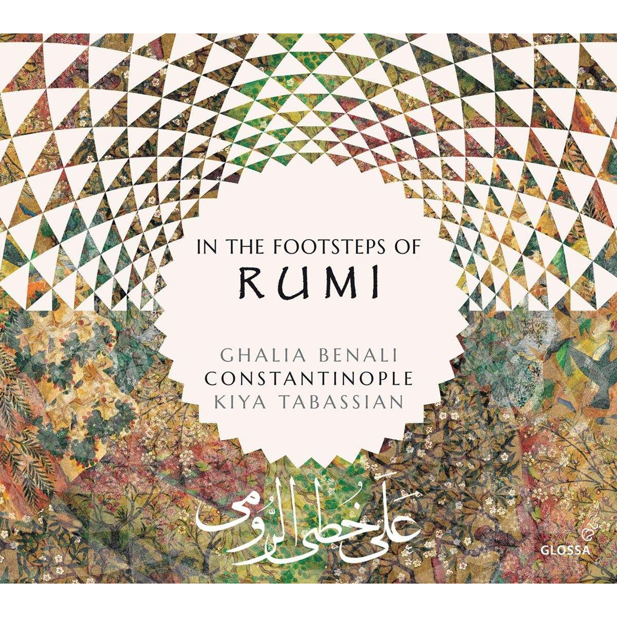 IN THE FOOTSTEPS OF RUMI