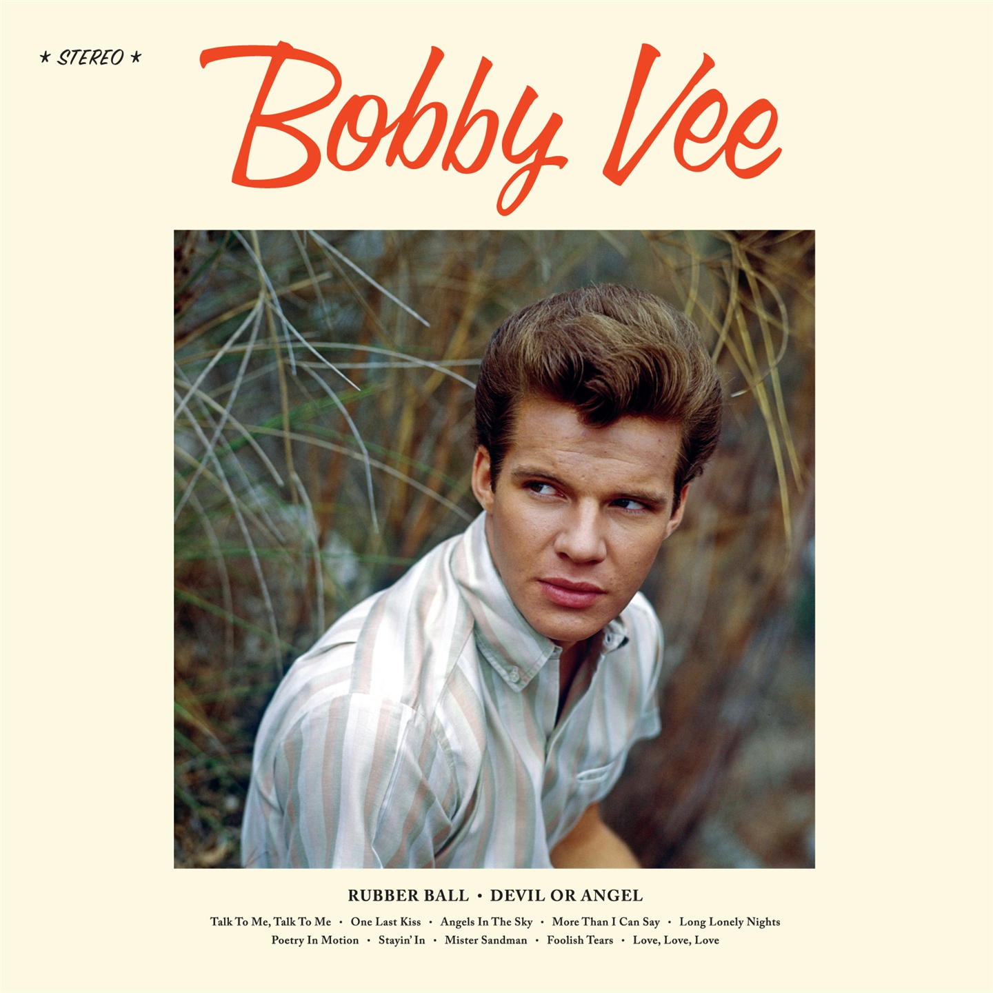 BOBBY VEE [LP]