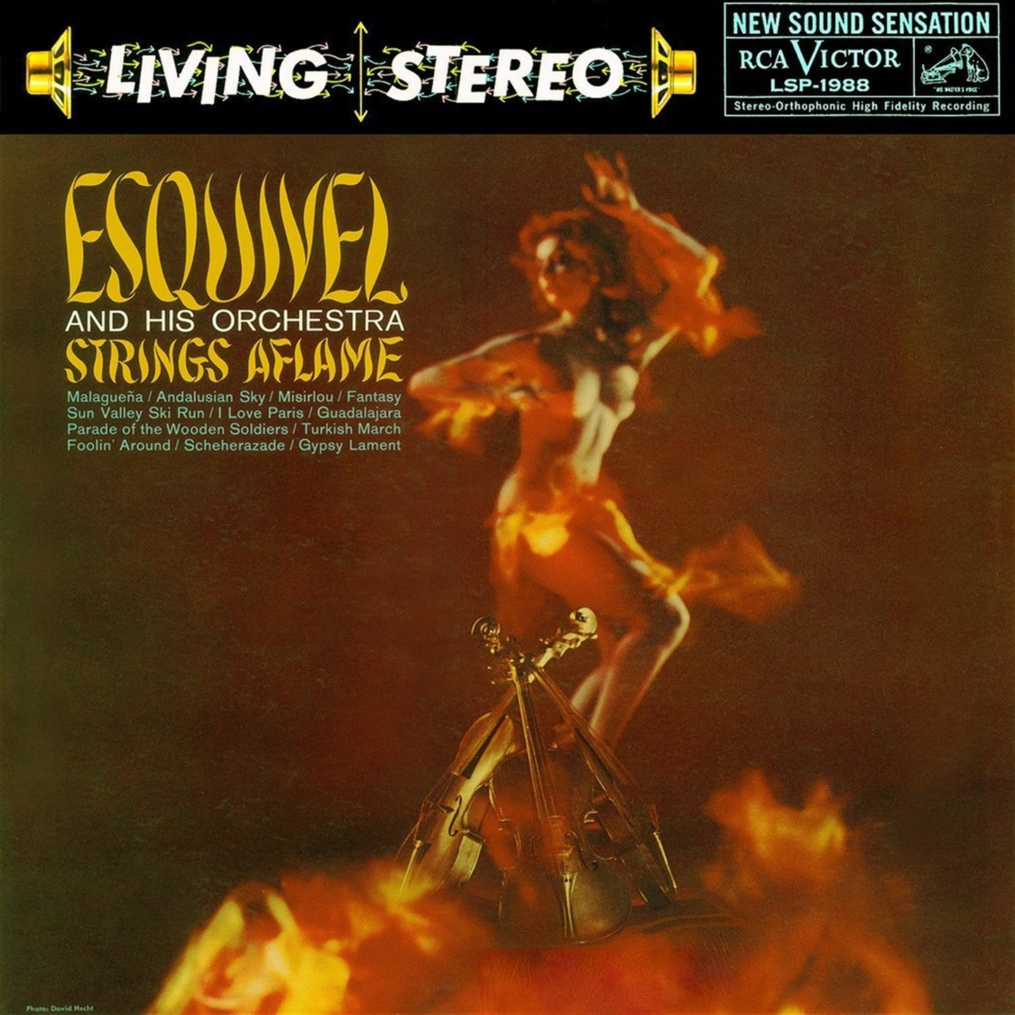 STRINGS AFLAME (+ LATIN-ESQUE)