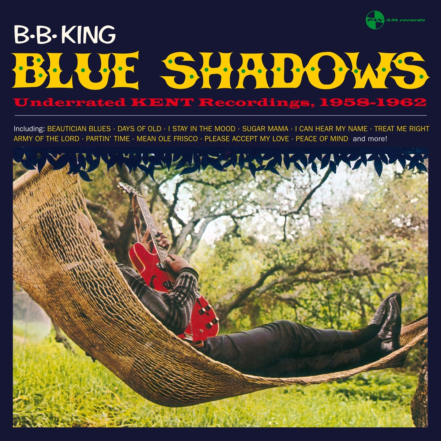 BLUE SHADOWS [LP]