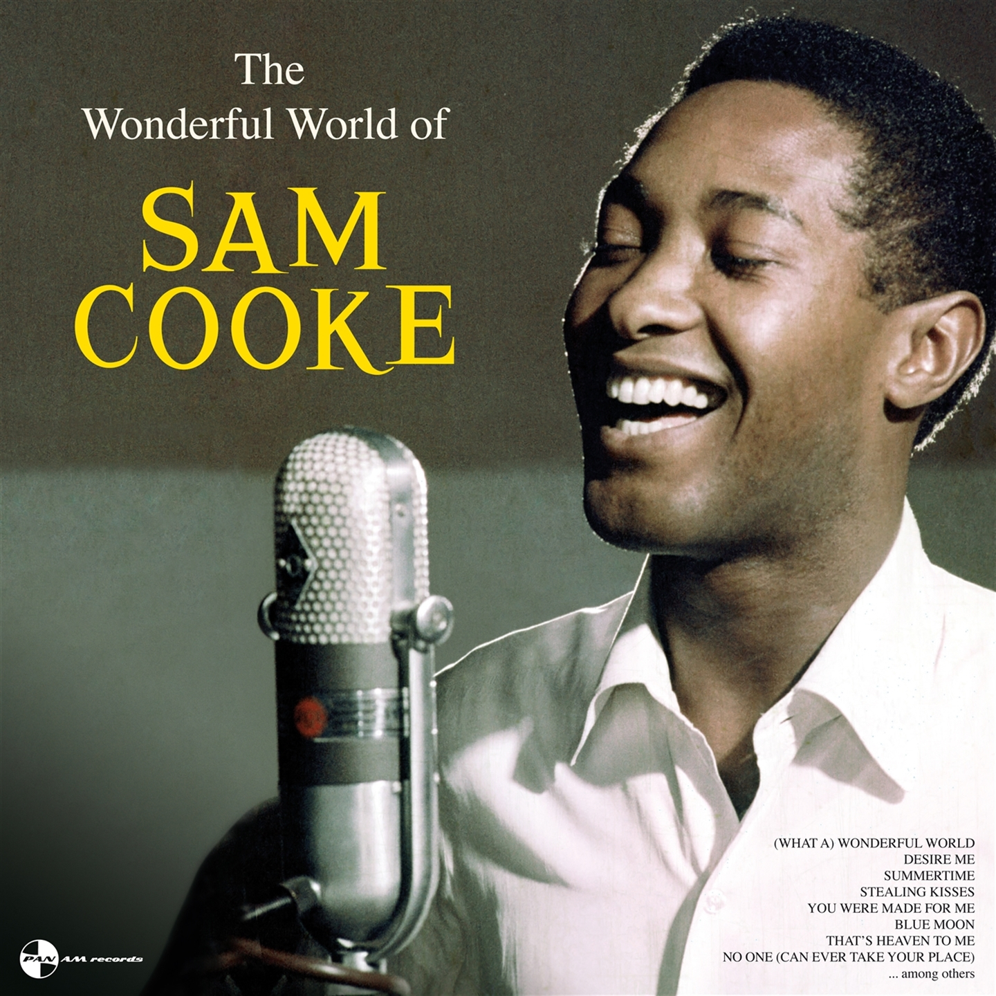 THE WONDERFUL WORLD OF SAM COOKE [LP]