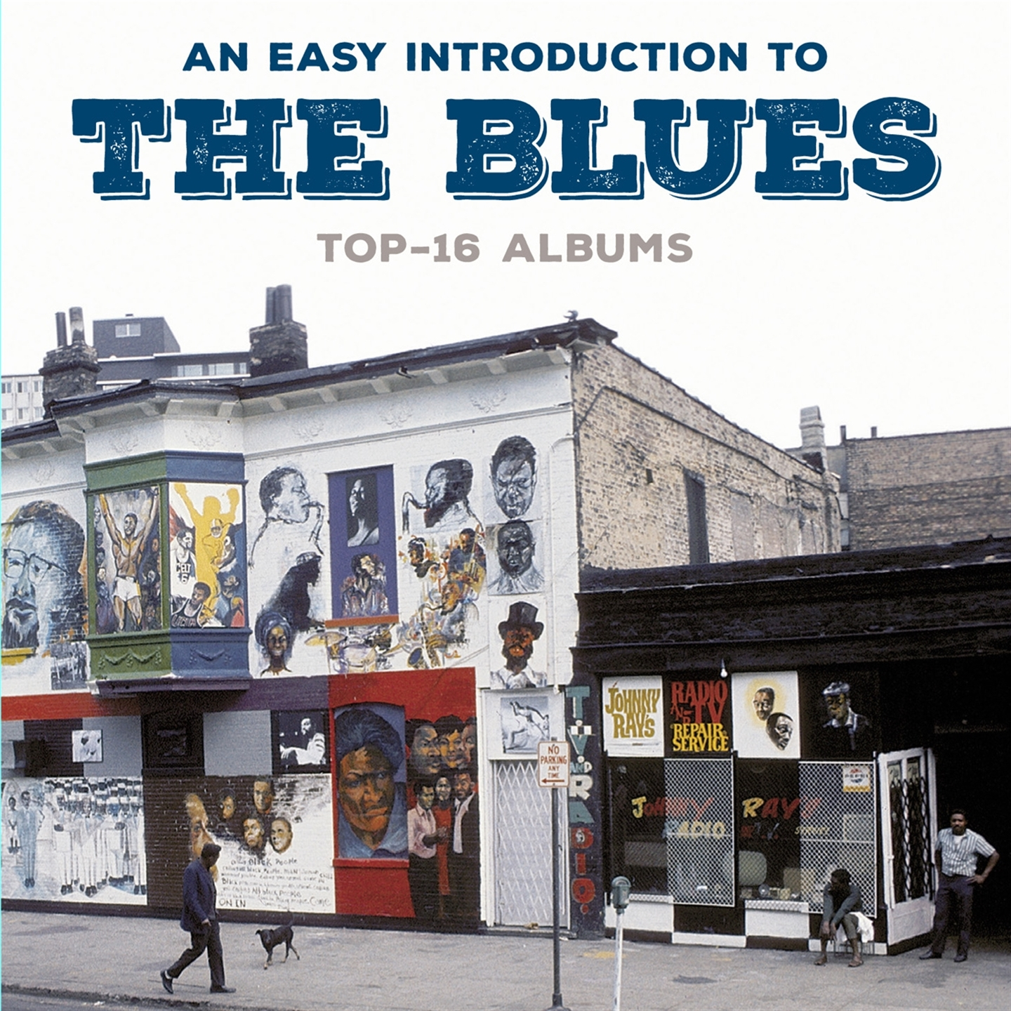 AN EASY INTRODUCTION TO THE BLUES - TOP 16 ALBUMS