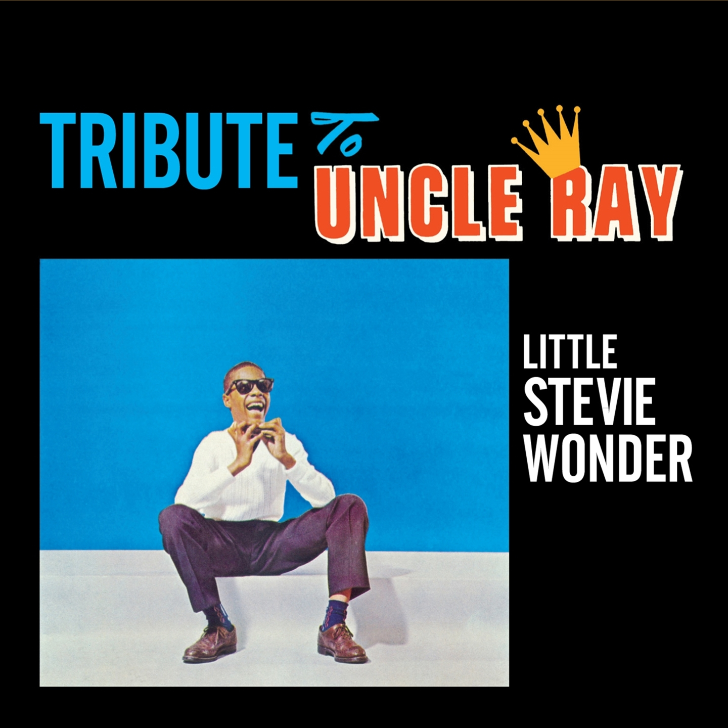 TRIBUTE TO UNCLE RAY (+ THE JAZZ SOUL OF LITTLE STEVIE)