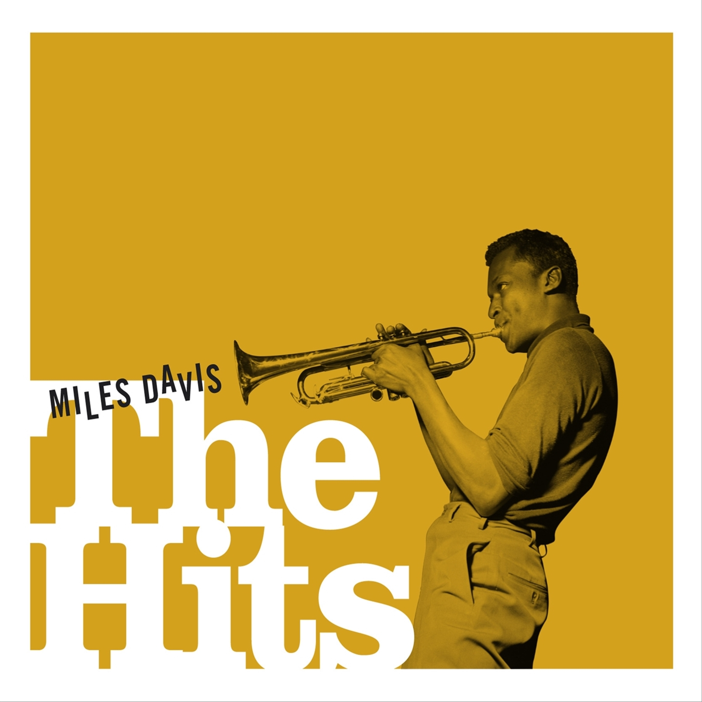 THE HITS (40 TRACKS)