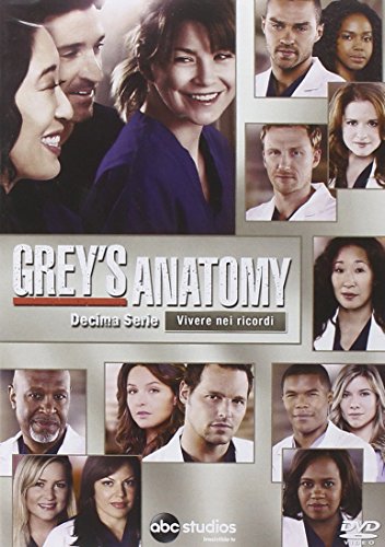 GREY'S ANATOMY - STAGIONE 10 (6 DVD)