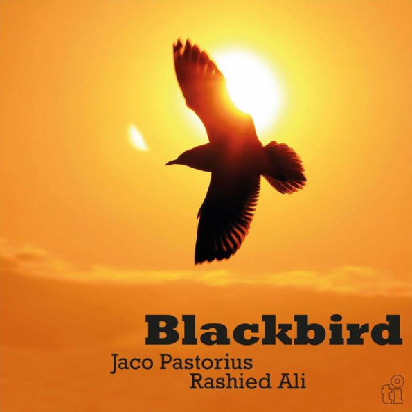 BLACKBIRD - 180G/DELUXE SLEEVE/TIMELESS/1000 CPS TRANSLUCENT YELLOW