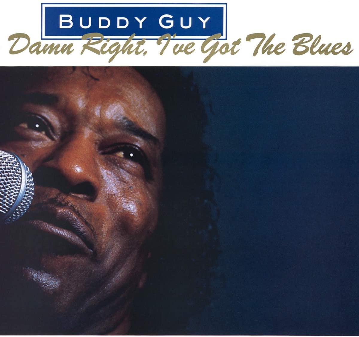 DAMN RIGHT, I'VE.. -HQ- - .. GOT THE BLUES - LP 180 GR. . / INSERT / GRAMMY AWA