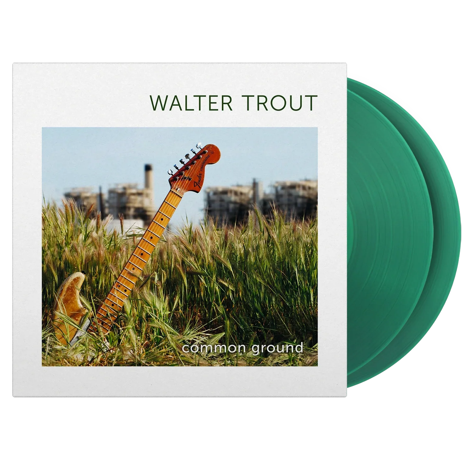 Common Ground Translucent Green