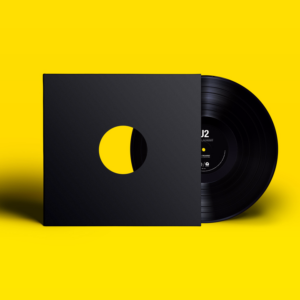 BLACKOUT / BLACKOUT (JACKNIFE LEE REMIX)