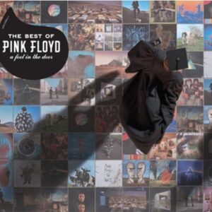 THE BEST OF PINK FLOYD: A FOOT IN THE DO