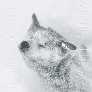 Algida Bellezza Netherworld Cd