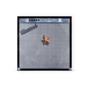 (((((ultraSOUND)))))+ Doppio Vinile Lp