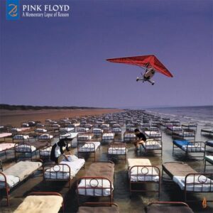 A Momentary Lapse Of R...