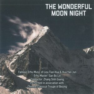 WONDERFUL MOON NIGHT