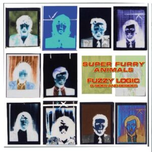 FUZZY LOGIC