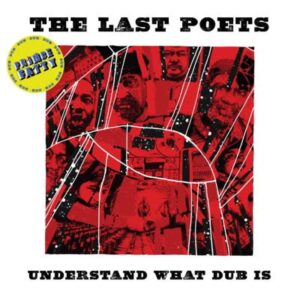 Understand What Dub Is The Last Poets Lp