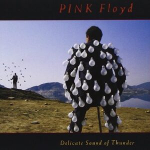 DELICATE SOUND OF THUNDER