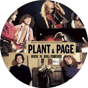 ROCK 'N' ROLL FOREVER - PICTURE VINYL