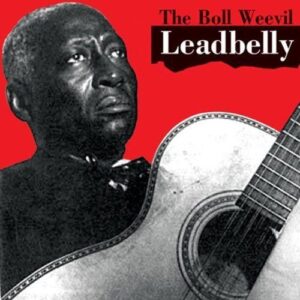BOLL WEEVIL