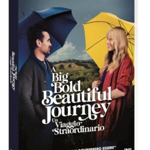 Big Bold Beautiful Journey (A) - Un Viaggio Straordinario