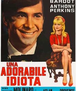 ADORABILE IDIOTA (UN')