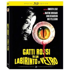 GATTI ROSSI IN UN LABIRINTO DI VETRO (SPECIAL EDITION)