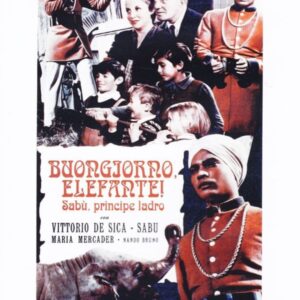BUONGIORNO ELEFANTE