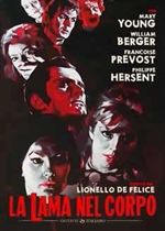 LAMA NEL CORPO (LA)