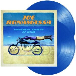 DIFFERENT SHADES OF BLUE - BLUE VINYL