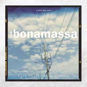 A NEW DAY NOW - BLUE VINYL - LP 180 GR.