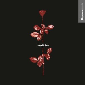 VIOLATOR