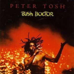 BUSH DOCTOR -COLOURED- - 180GR./INSERT/REMASTERED/2000 CPS TRANSPARENT RED VINY