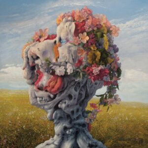 VEIL OF IMAGINATION