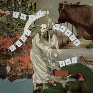 Tear Your Heart Out (Hi-Vis Orange Vinyl