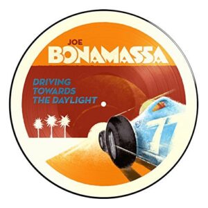 Driving Towards The Daylight [Picture Disc]