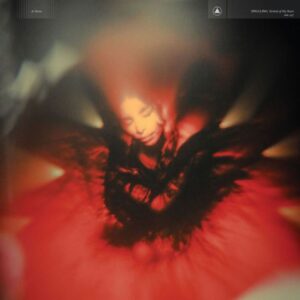 PORTRAIT OF MY HEART