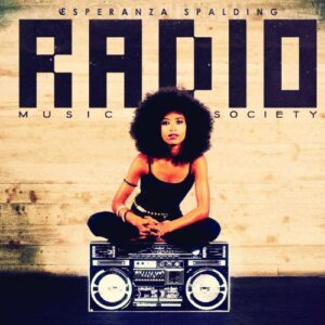 RADIO MUSIC SOCIETY - VINILE -