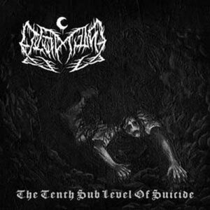 THE TENTH SUBLEVEL OF SUICIDE - N.E.