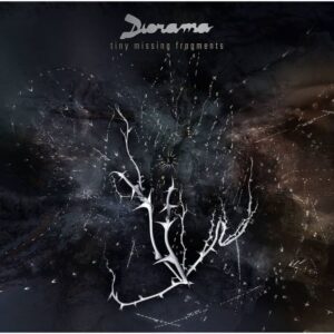 TINY MISSING FRAGMENTS