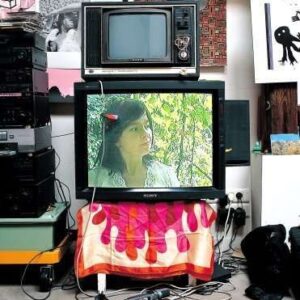 Minuscule Documentary