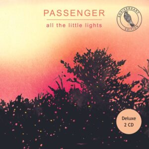 ALL THE LITTLE LIGHTS