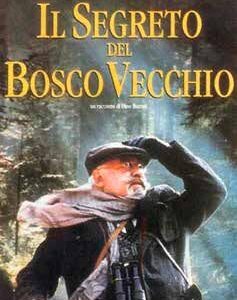SEGRETO DEL BOSCO VECCHIO (IL)