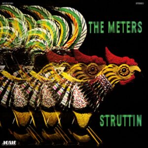 STRUTTIN' - LP 180 GR.