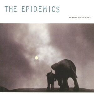THE EPIDEMICS