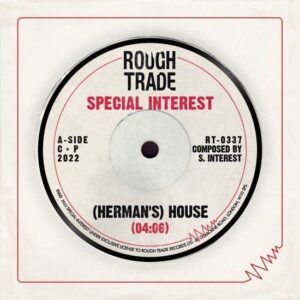 HERMAN S HOUSE/FOLLOW ME ( AMANDA LEAR)
