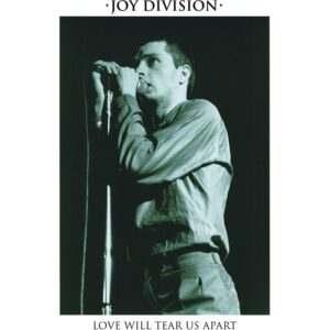 LOVE WILL TEAR US APART