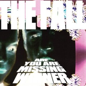 Are You Missing Are Winner (Rsd 2026)